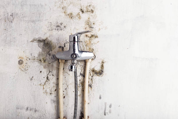 Best Mold Testing  in Espaola, NM