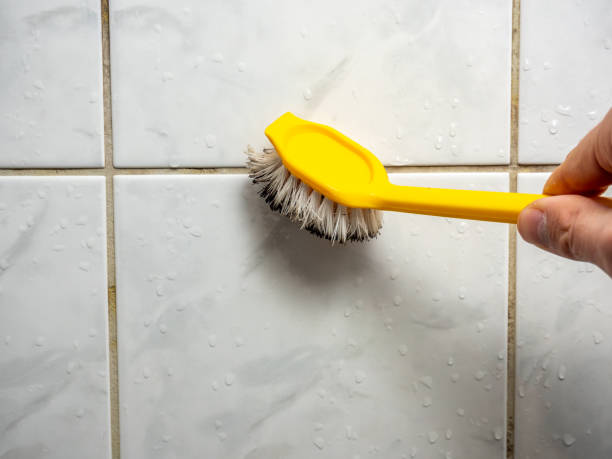 Best Mold Remediation  in Espaola, NM
