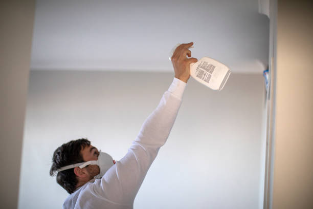 Best Home Mold Removal  in Espaola, NM