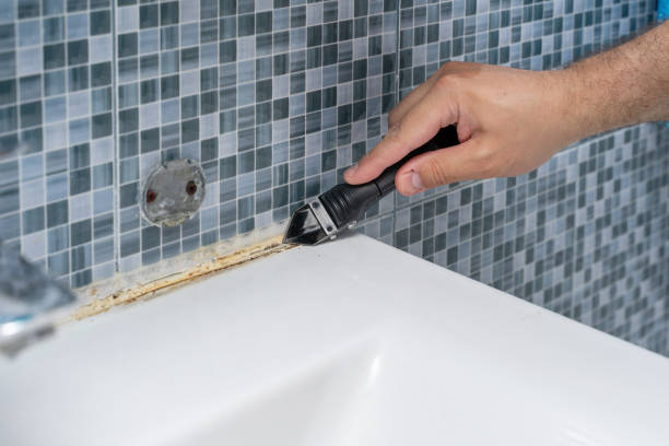 Best Office Mold Removal Services  in Espaola, NM